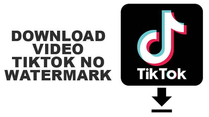 download video tiktok