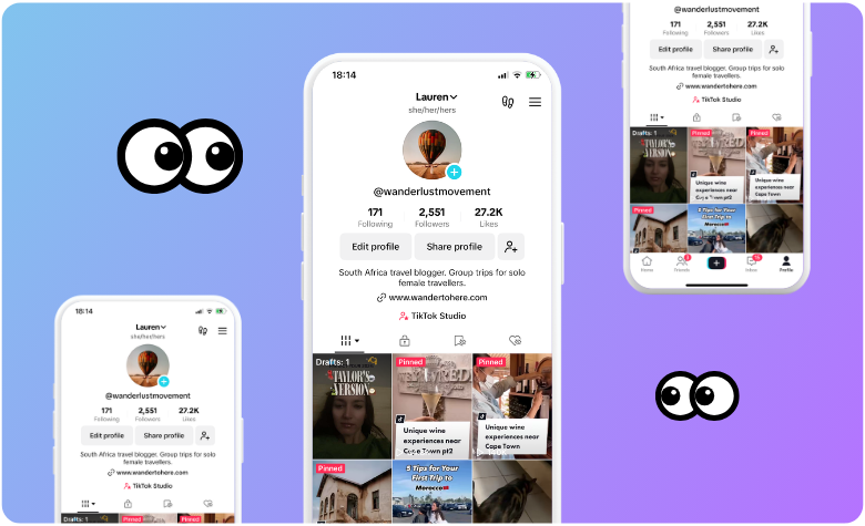 snaptik story viewer