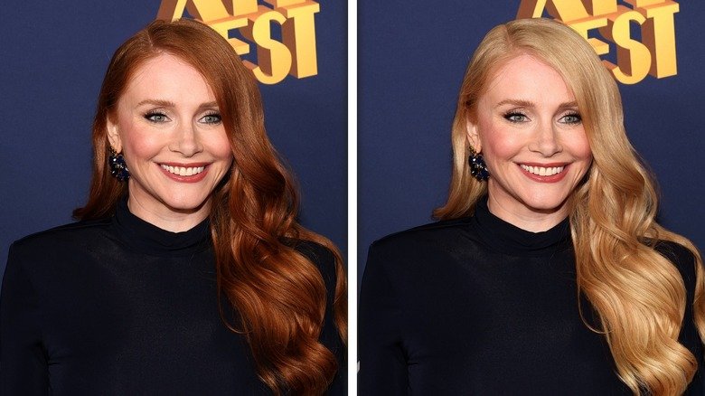 bryce dallas howard