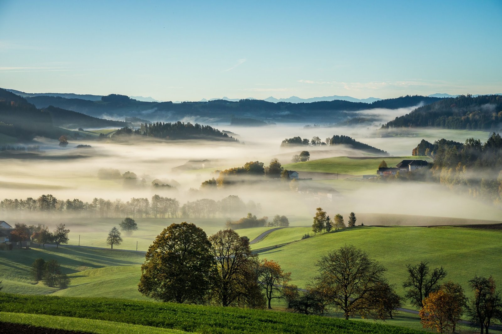 kickelhahn